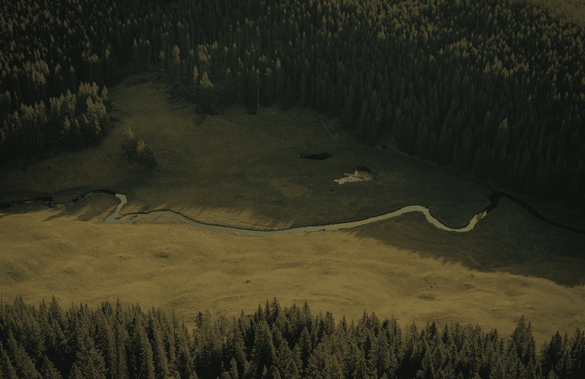 Screenshot 2024-09-19 at 6.50.00 AM